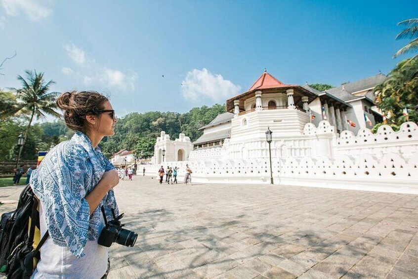 Kandy Day Tour from Colombo