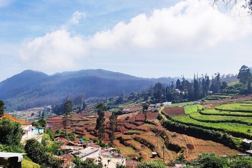 Muesum & Garden Tour of Ooty (4 Hours Guided Walking Tour)