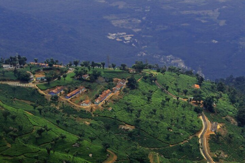 Day Trip to Coonoor (Guided Sightseeing Tour by Car from Ooty)