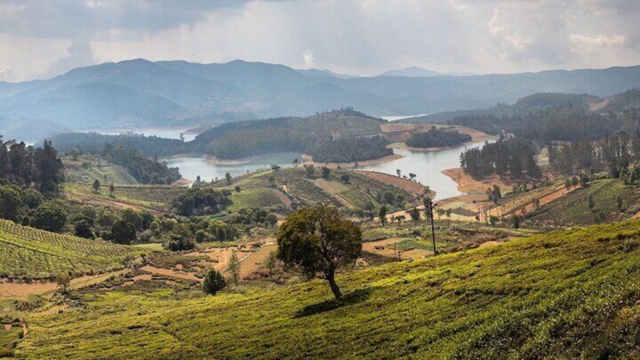 Day Trip to Coonoor