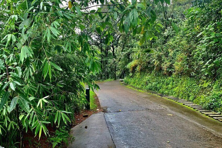 Nature & Spiritual Trails of Coorg (2 Hours Guided Walking Tour)