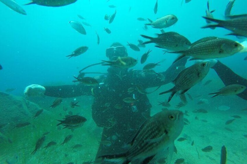 Scuba Diving Experience in Santorini