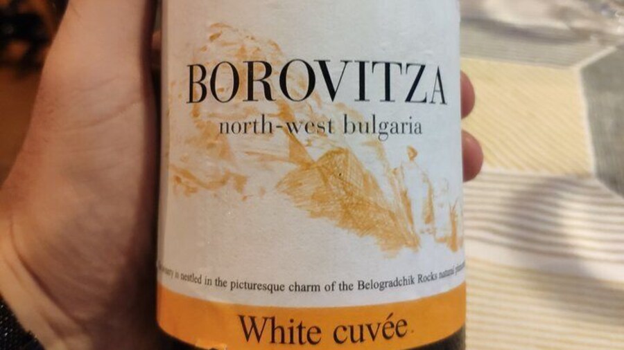 Vidin & Belogradchik Exquisite Wine Tasting