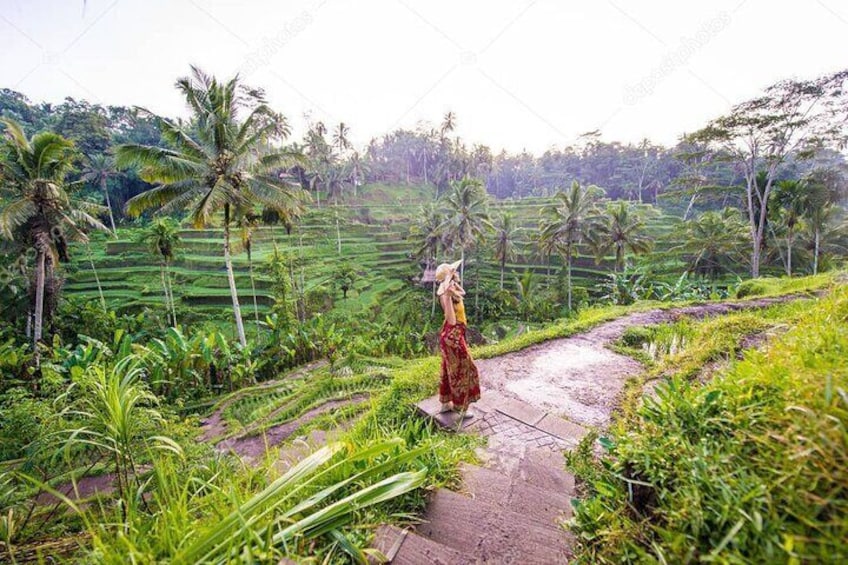 Bali Full-Day Sightseeing Trip with Lunch