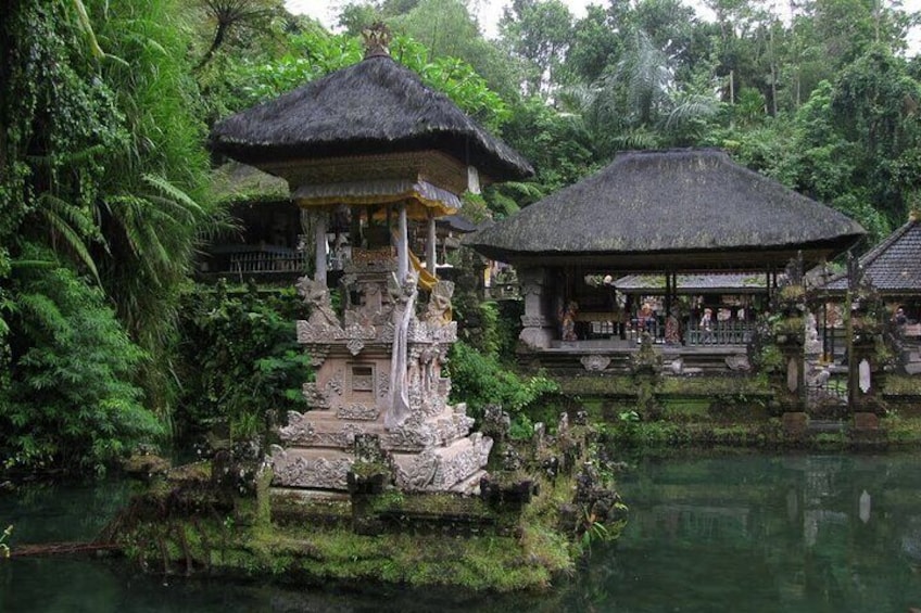 Bali Full-Day Sightseeing Trip with Lunch