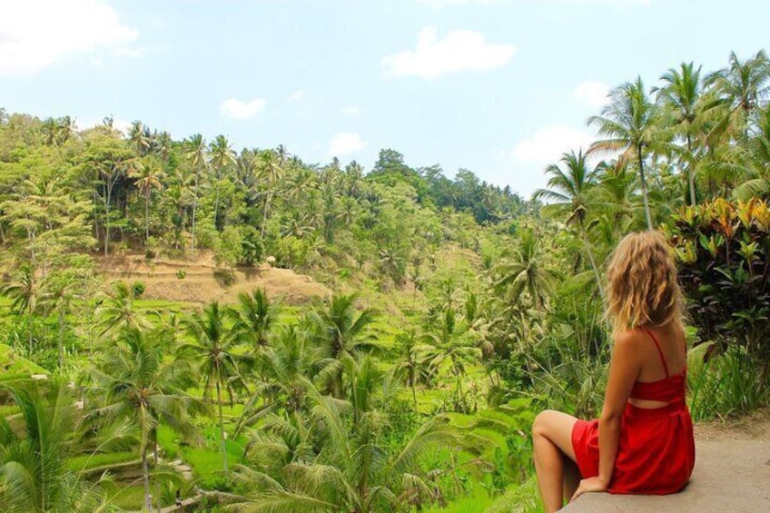 Bali Full-Day Sightseeing Trip with Lunch