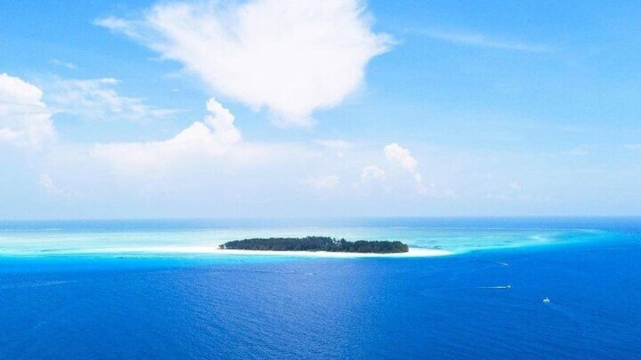 Mnemba Dolphin Tour, Jozani Forest Tour, Kuza Cave Tour, Paje Beach, The Rock Restaurant Zanzibar
