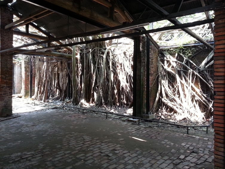 Show item 3 of 7. Private Custom Tour: One Day in Tainan
