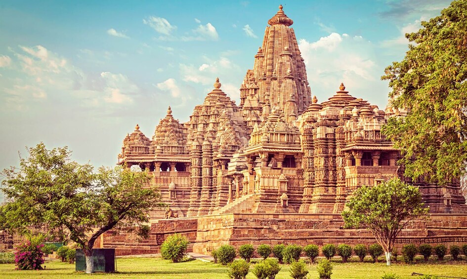 9-Day Wellness Camp With Wildlife Experiences at Khajuraho