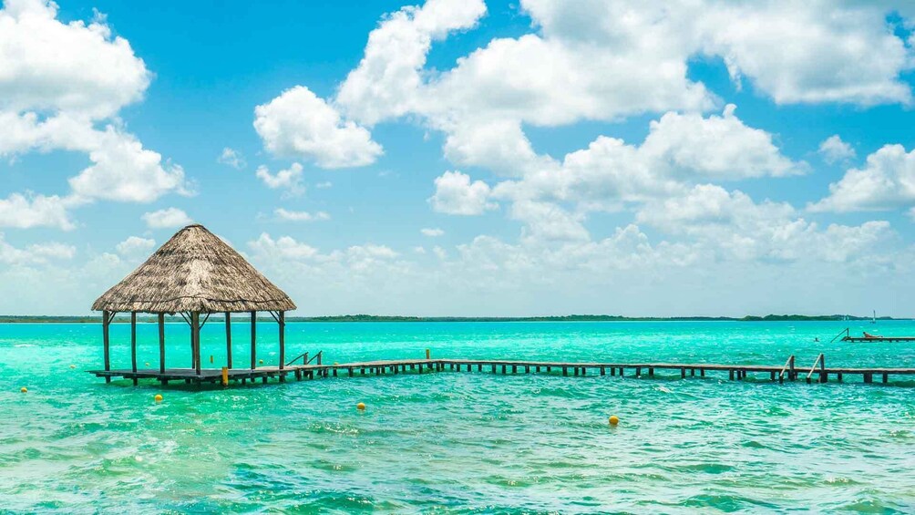 Tour The Lagoon Of The 7 Colors From Playa Del Carmen