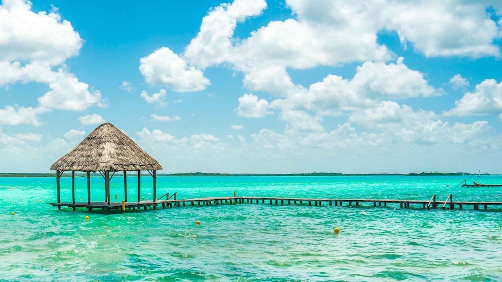 Tour The Lagoon Of The 7 Colors From Playa Del Carmen