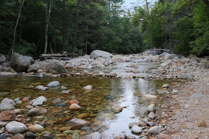 Kancamagus Scenic Highway Self-Driving Audio Tour