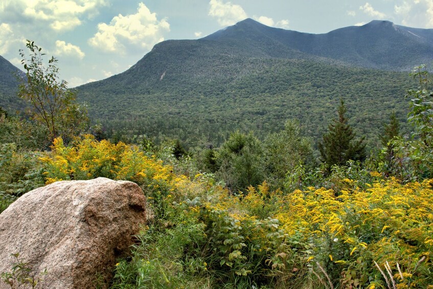 Kancamagus Highway Audio Tour: Self-Guided Drive