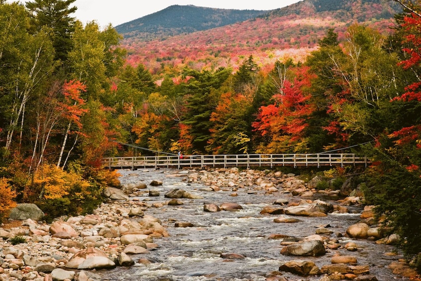 Show item 5 of 10. Kancamagus Scenic Highway Self-Driving Tour