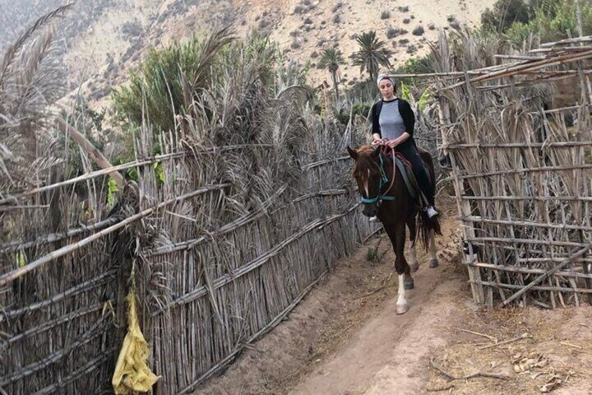 Full-Day Horseback Riding Experience with Breakfast