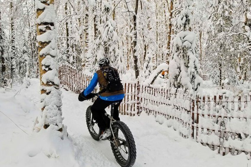 Winter Fat Biking Anchorage Tour