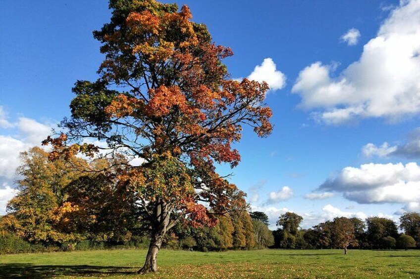 Cotswolds one day walking tour from Oxford