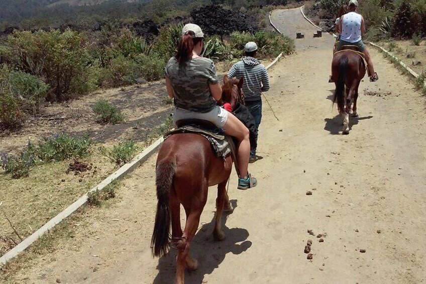 Horseback ride make it easy