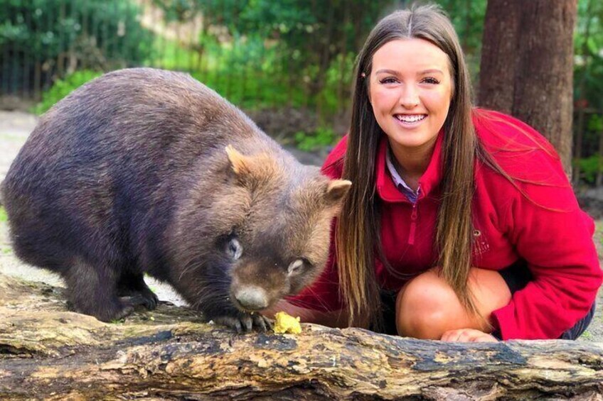 Animal Encounters