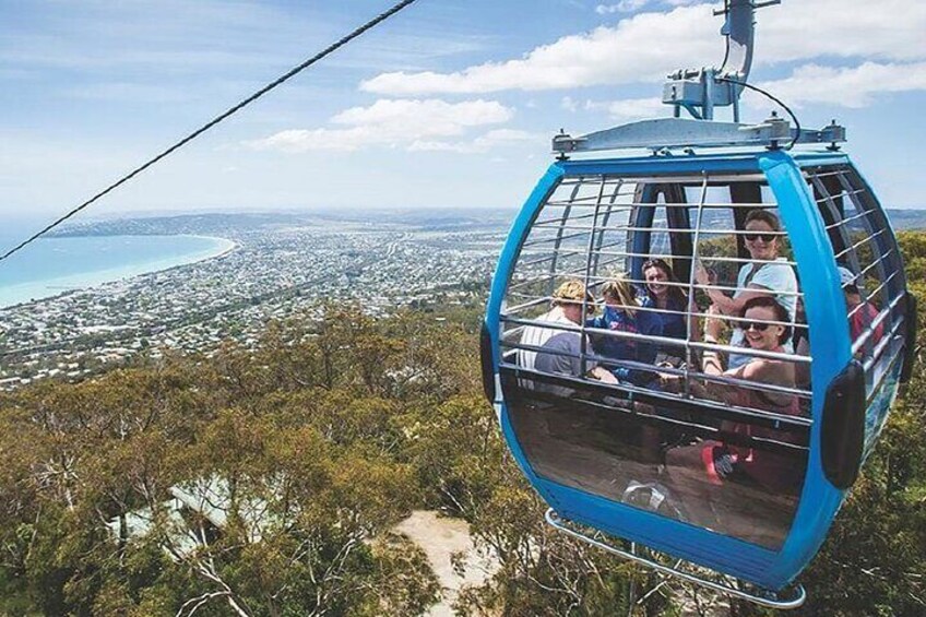 Arthurs Seat Eagle