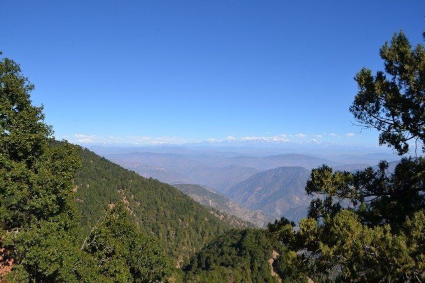 Explore the best of forest & nature in Nainital (4.5 hours Guided Tour)