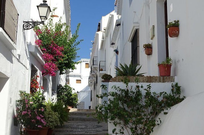 Private walking tour around the Old Town of Frigiliana