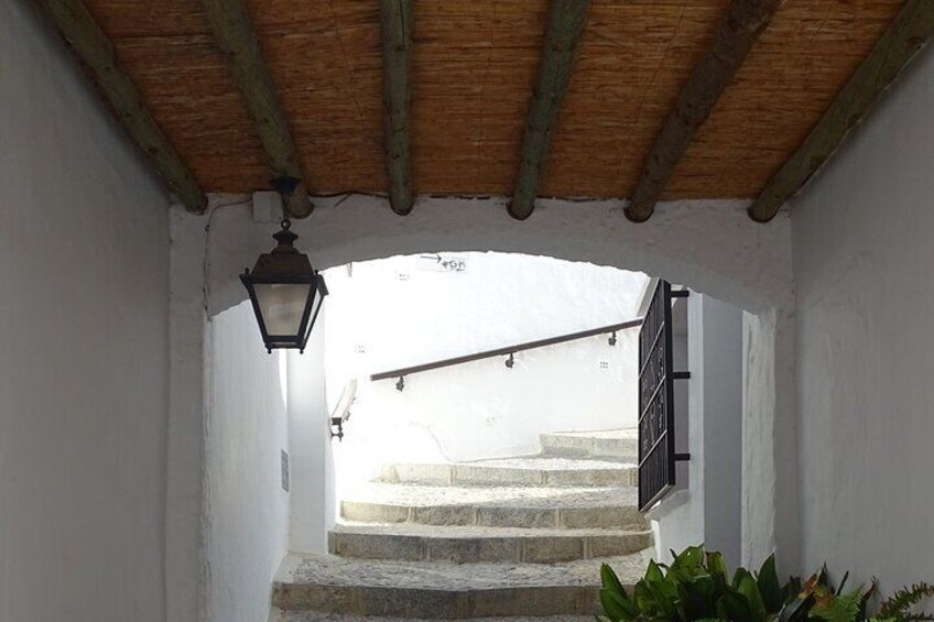 Private walking tour around the Old Town of Frigiliana