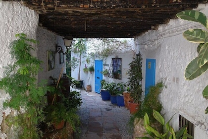 Private walking tour around the Old Town of Frigiliana