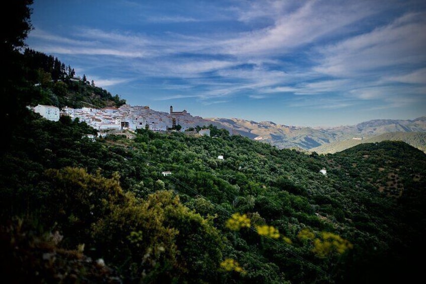 Taste Andalusia in the Mountains: A Memorable Dining Experience