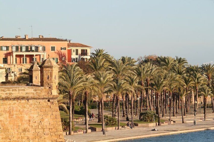 Palma de Mallorca Private Walking Tour