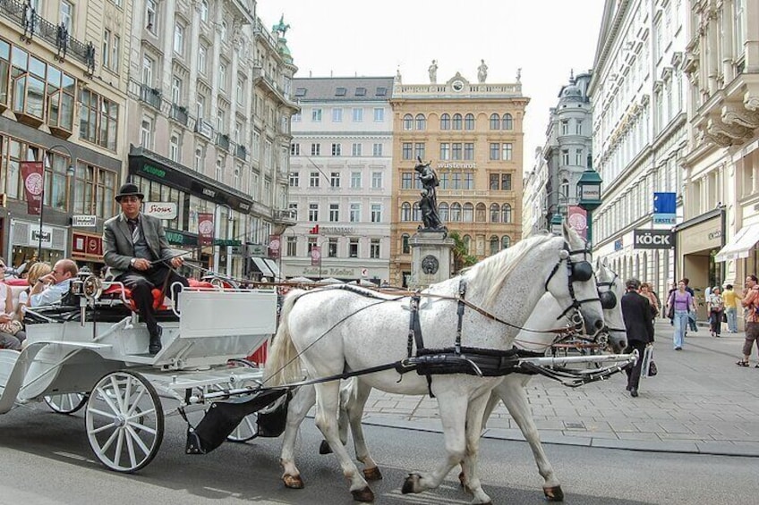 Private tour of the best of Vienna - Sightseeing, Food & Culture with a local