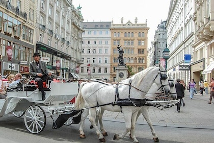 Private tour of the best of Vienna - Sightseeing, Food & Culture with a loc...