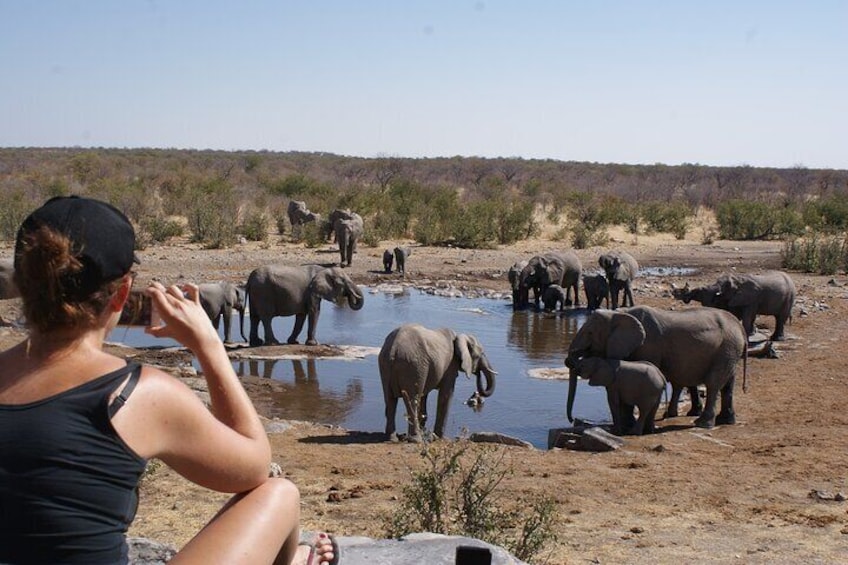 Relax by the Halali waterhole as elephants come to drink
