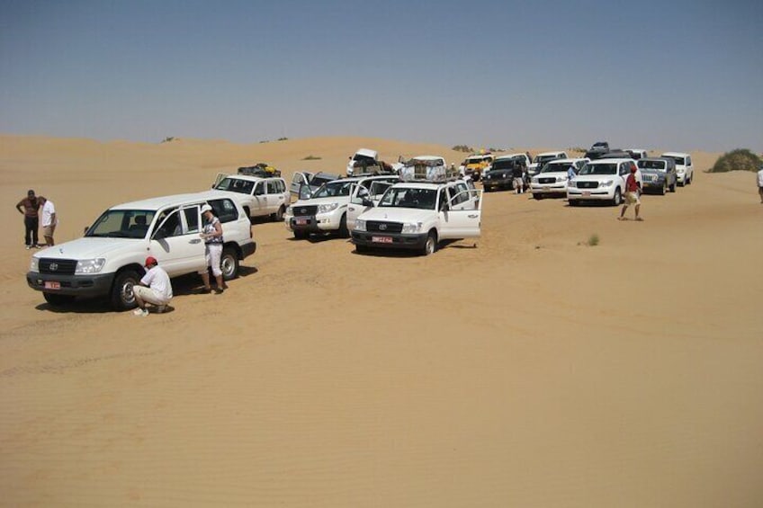 Abu Dhabi Desert Safari Dune Bashing,Came,Belly Dance & BBQ