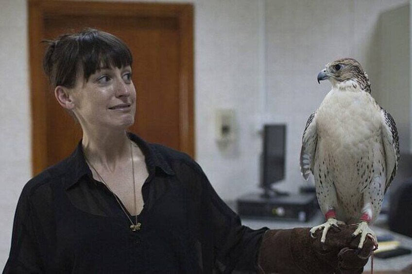 Experience Abu Dhabi Falcon Hospital Tour