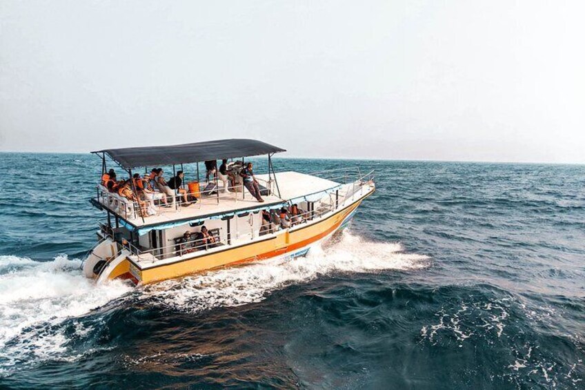 Whale Watching Yacht Tour from Mirissa