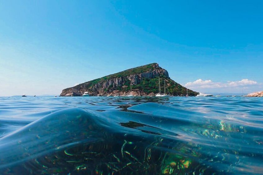Kayak tour with aperitif and dolphins