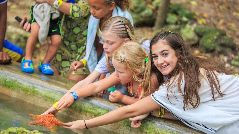 girls holding starfish in pool