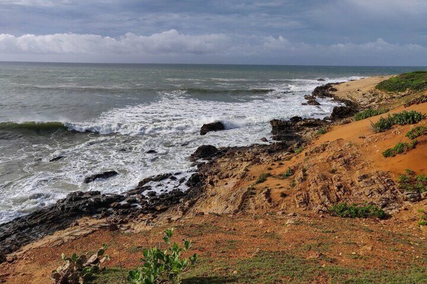 Bundala National Park Safari from Beruwala