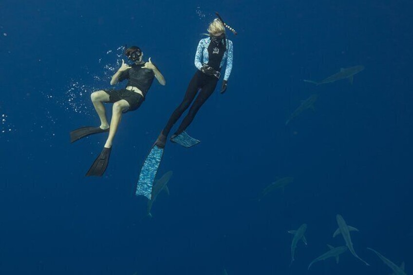 Safety diver/ Marine Biologist escort customer on a free dive