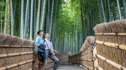 City Escape: Arashiyama Park Private Day Trip