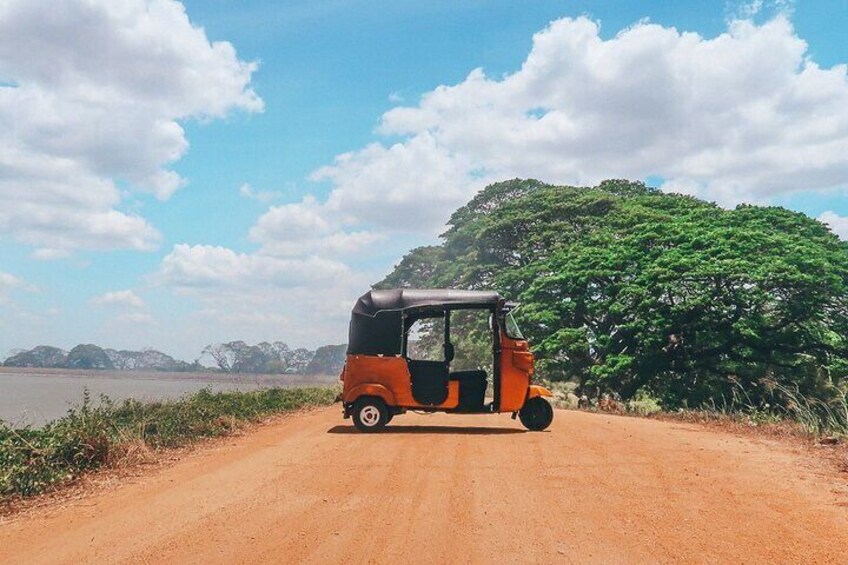 bentota tuk tuk safari