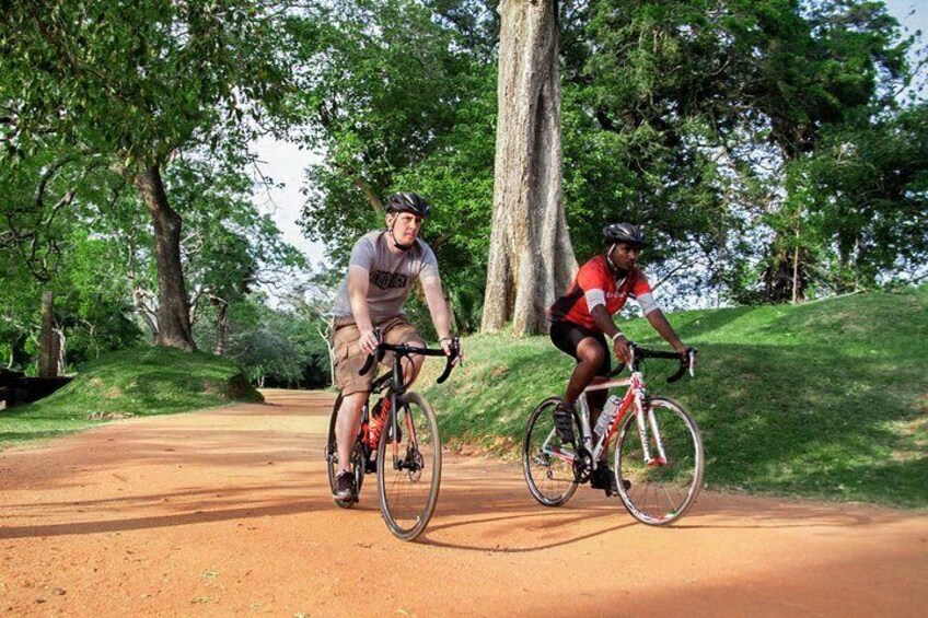 Balana Battlefield Cycling Tour from Kandy