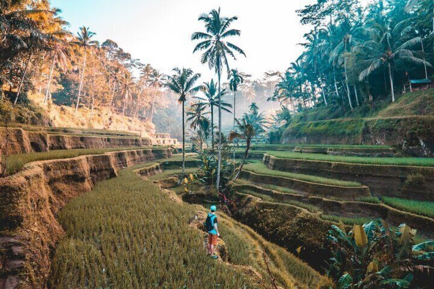 Design-Your-Own Tour: Private Customized Bali Tour