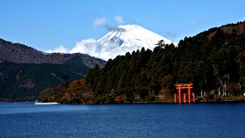 Mt Fuji Area Tour with Lake Cruise & Odawara Castle Park