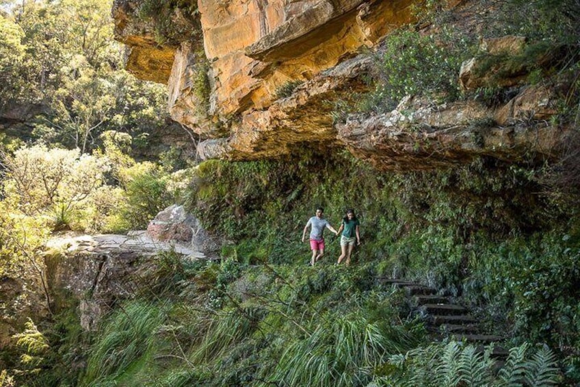 Private Guided: Blue Mountains Hiking & Nature Tour
