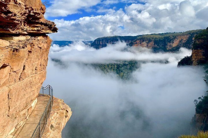 Private Guided: Blue Mountains Hiking & Nature Tour