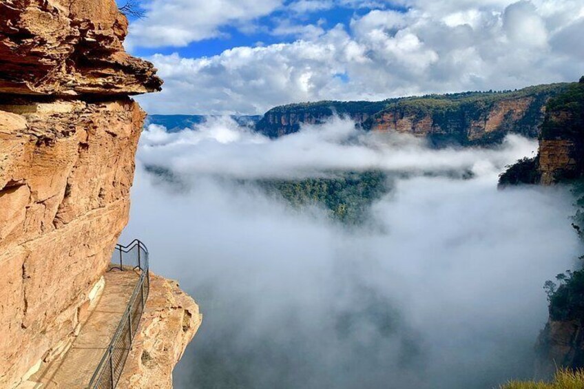 Private Guided: Blue Mountains Hiking & Nature Tour