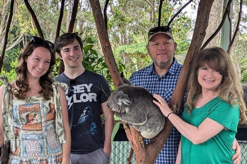 With a wildlife ranger's permission and guidance get up close to a koala