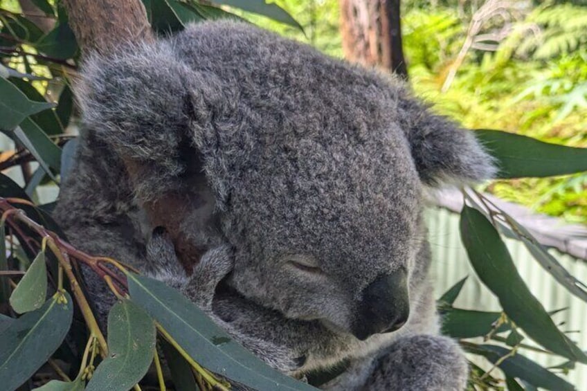 Cute!